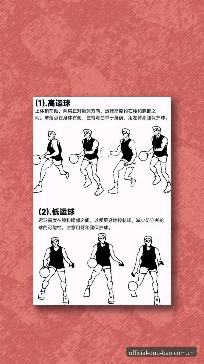多宝体育篮球直播观看指南：从入门到精通的操作教程